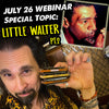 JULY 26 - LITTLE WALTER WEBINAR